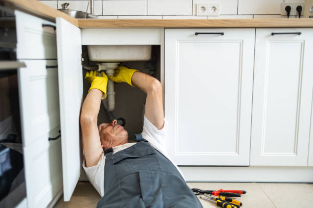 Best Clogged Drain Plumber  in West Lawn, PA