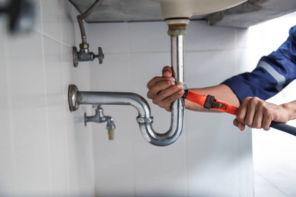 Best Plumbing Inspection Services  in West Lawn, PA